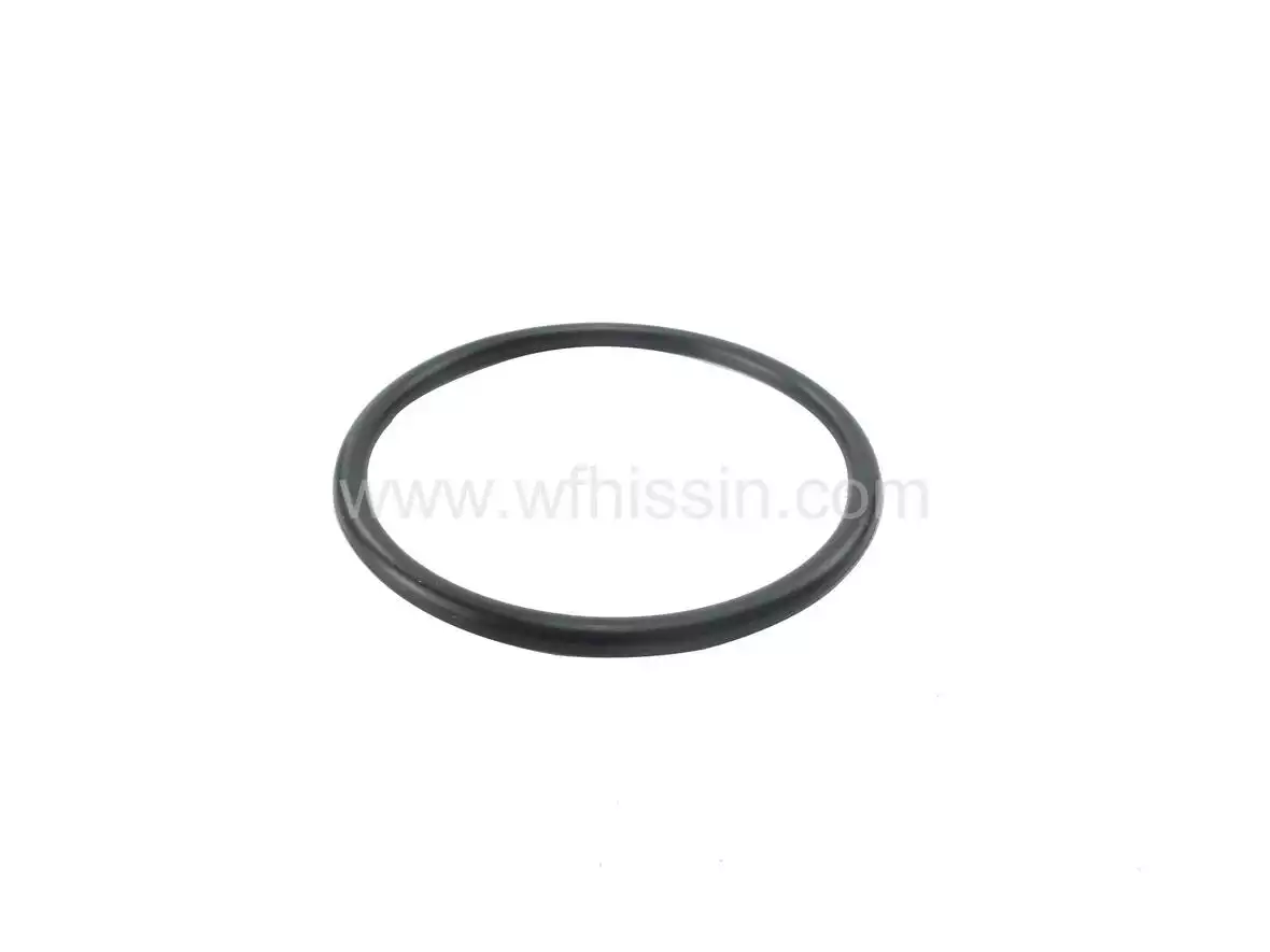 O Ring